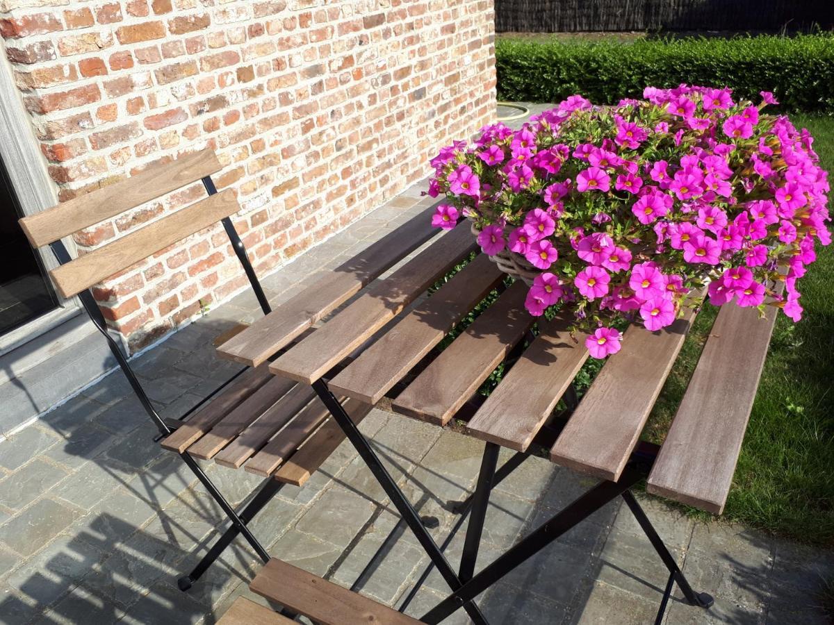 B&B 'T Hoveke Wingene Extérieur photo