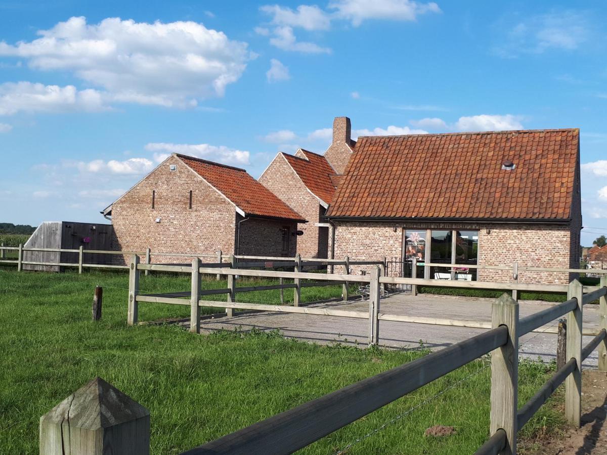 B&B 'T Hoveke Wingene Extérieur photo